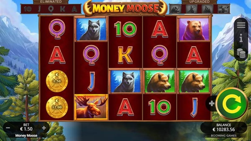 Money Moose