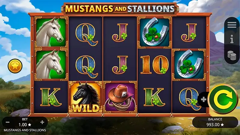 Mustang and Stallions