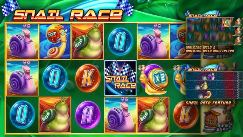 Snail Race