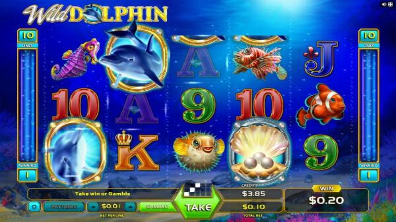 Wild Dolphin Jackpot