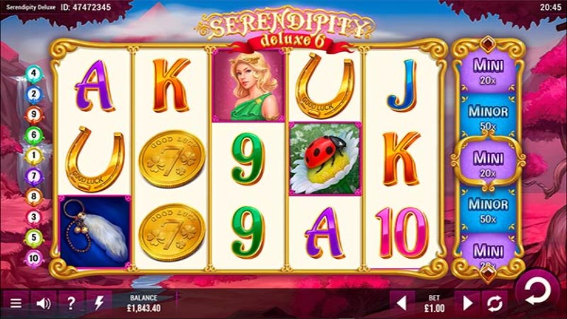 Serendipity Deluxe 6