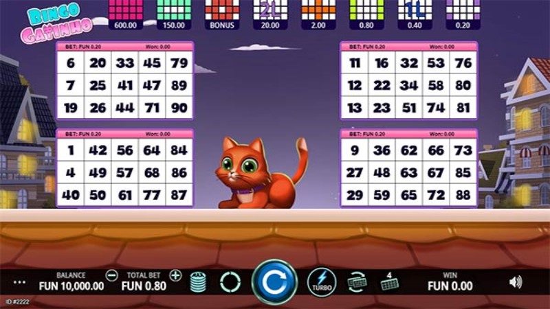 Bingo Gatinho