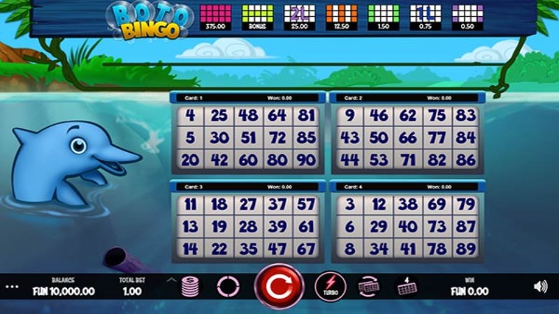 Boto Bingo