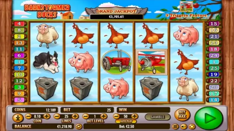 Barnstormer Bucks
