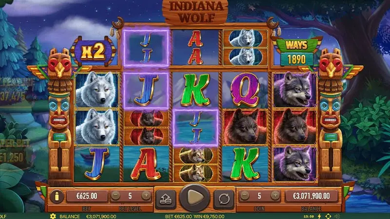 Indiana Wolf