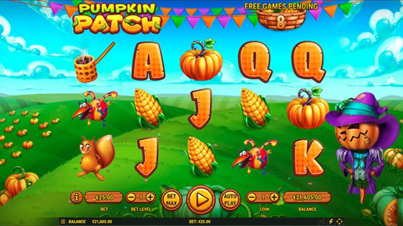 Pumpkin Patch