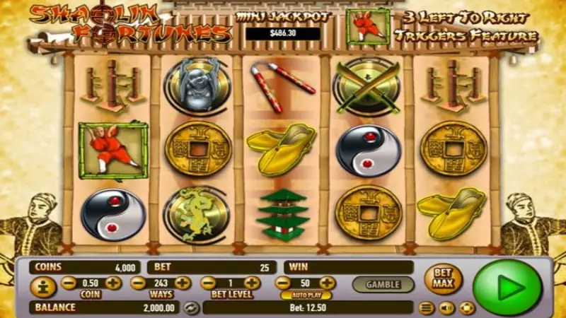 Shaolin Fortunes