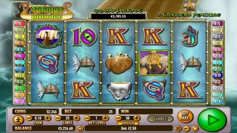 Viking's Plunder