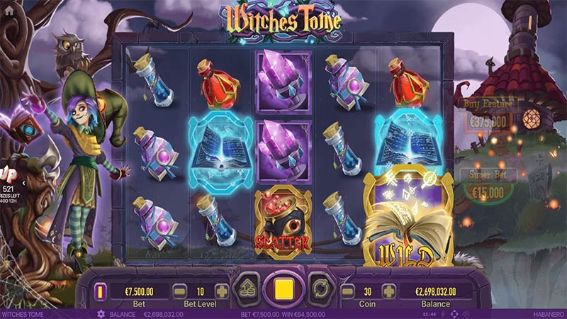 Witches Tome