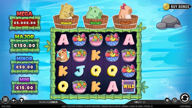 3 Capybaras