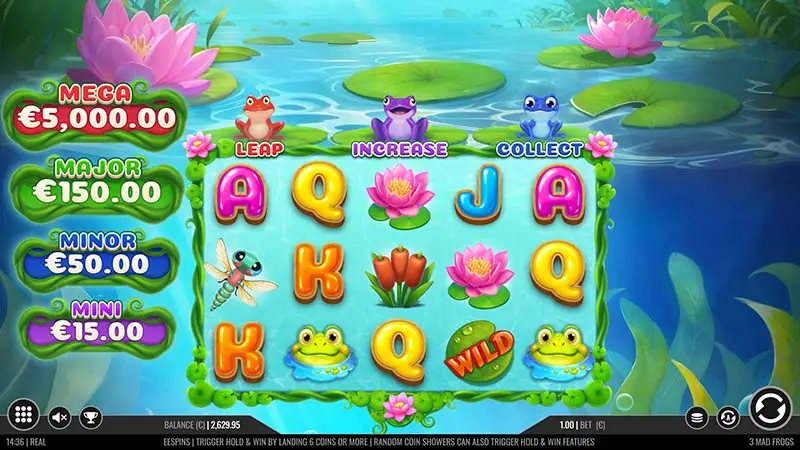 3 Mad Frogs