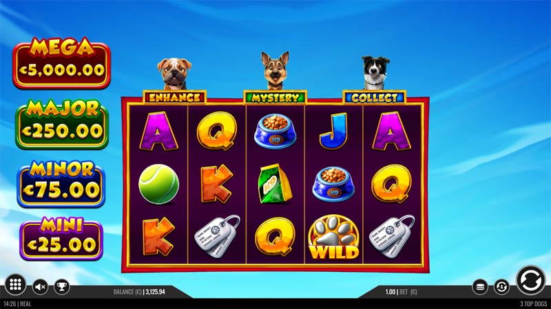 3 Top Dogs