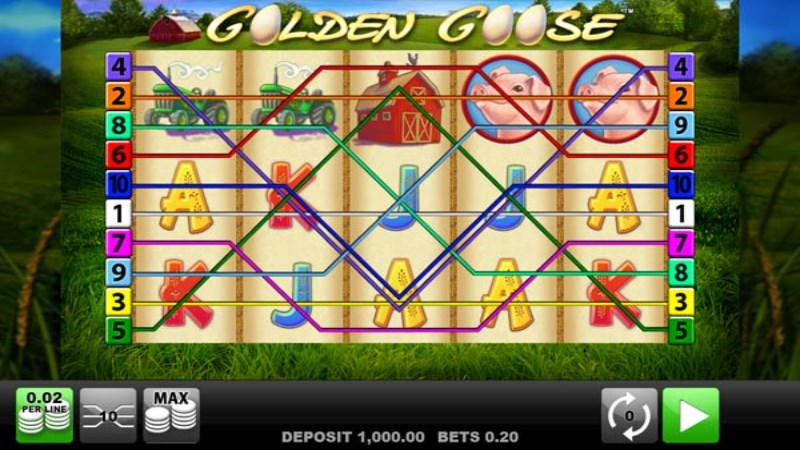 Golden Goose
