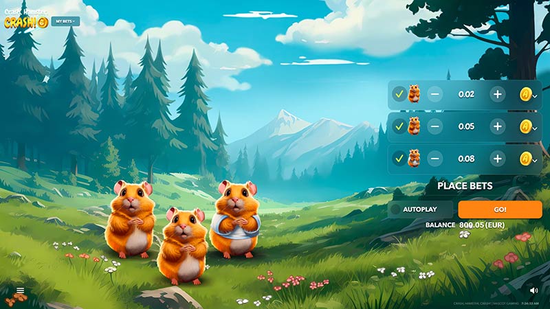 Crash Hamster Crash