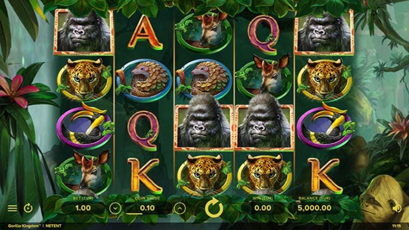 Gorilla Kingdom