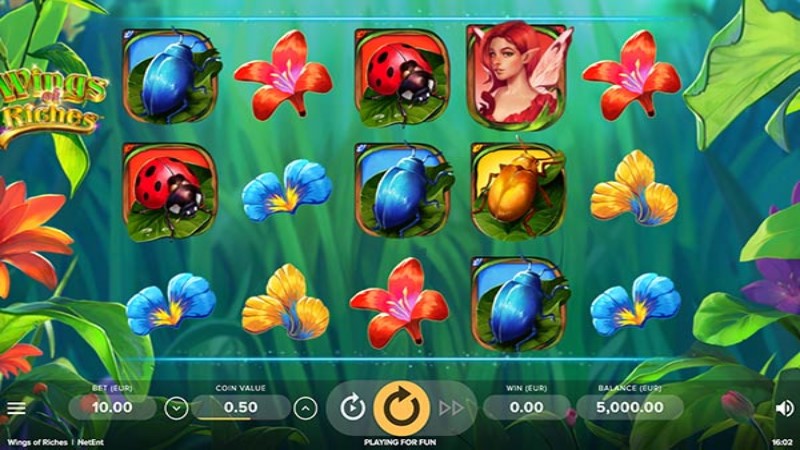 Wings of Riches
