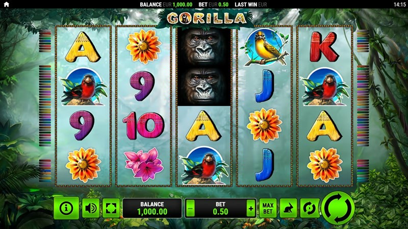 Gorilla