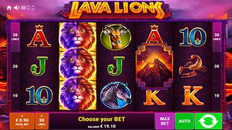 Lava Lions