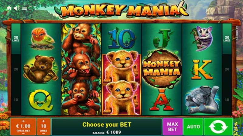 Monkey Mania