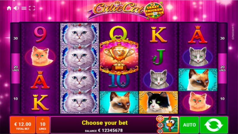 Cutie Cat Crazy Chicken Shooter