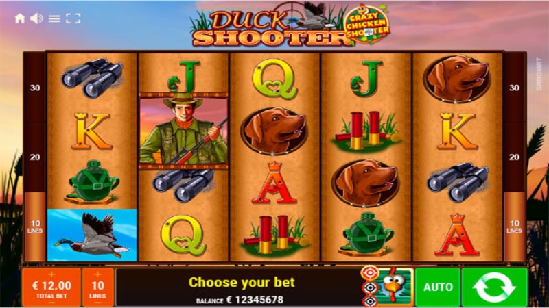 Duck Shooter Crazy Chicken Shooter