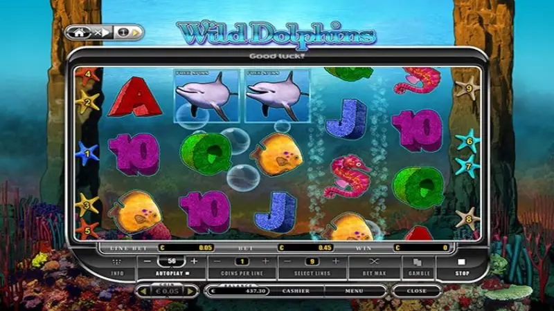 Wild Dolphins