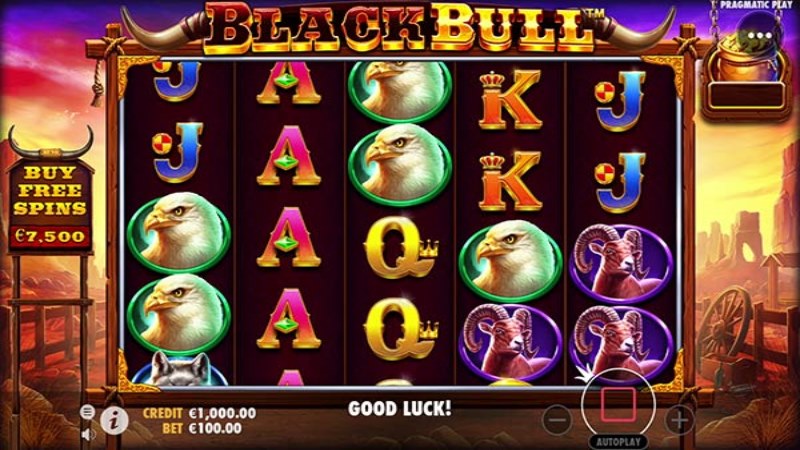 Black Bull