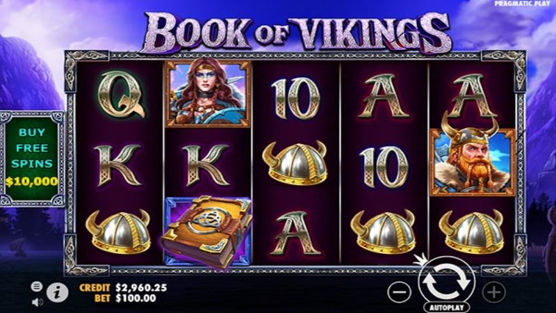 Book of Vikings
