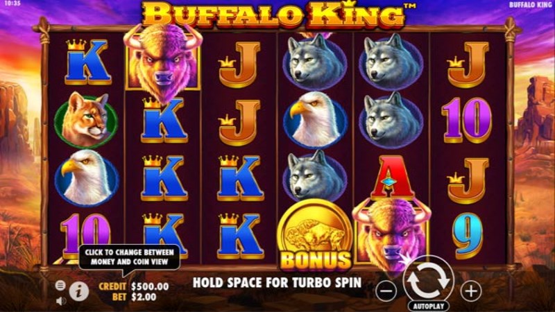 Buffalo King