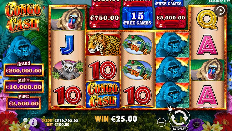 Congo Cash XL