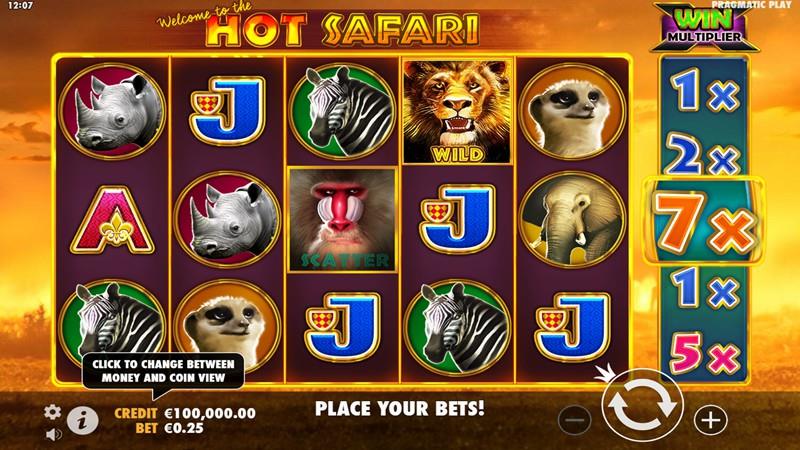 Hot Safari