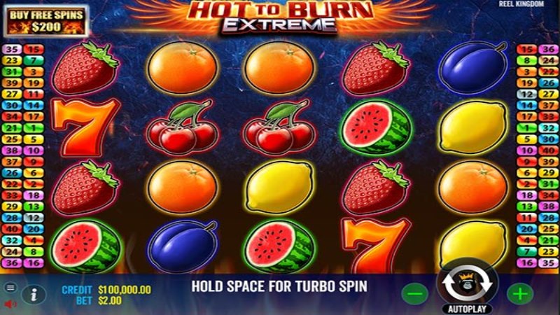 Hot to Burn Extreme