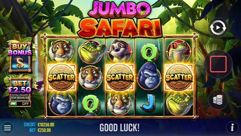 Jumbo Safari