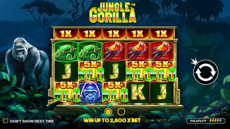 Jungle Gorilla