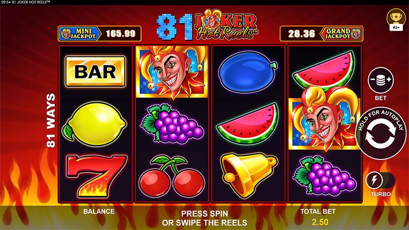 81 Joker Hot Reels