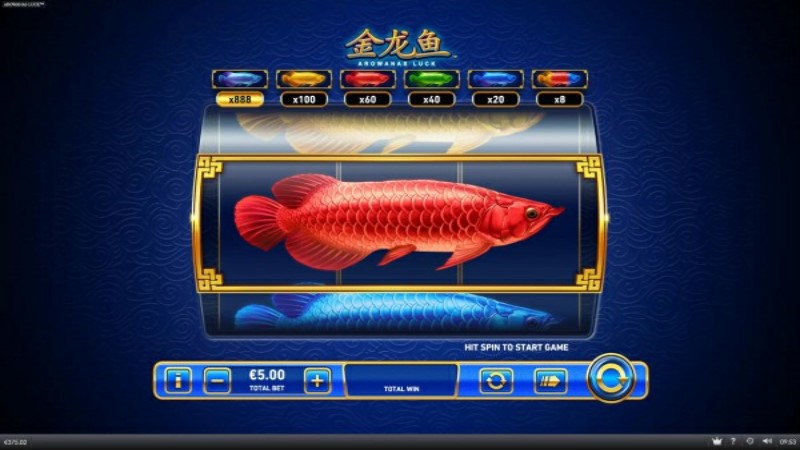 Arowanas Luck