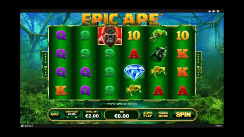 Epic Ape