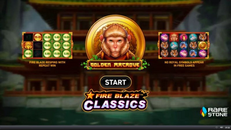 Fire Blaze Golden Macaque
