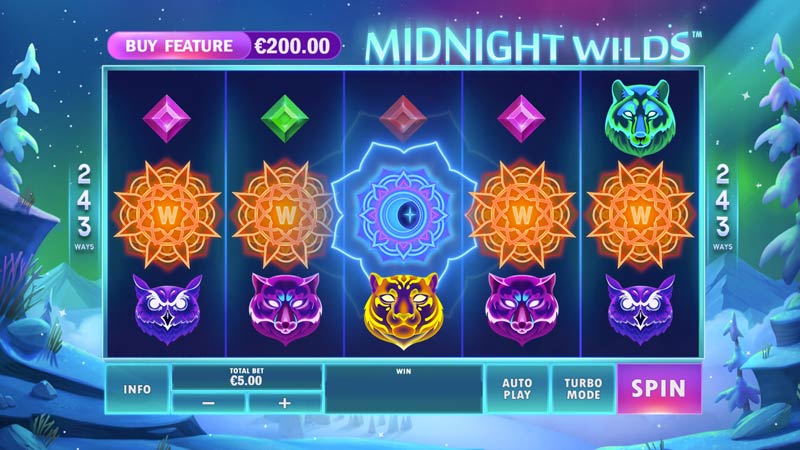 Midnight Wild