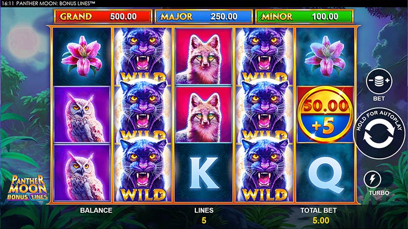 Panther Moon Bonus Lines