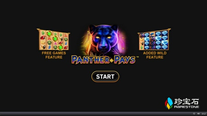 Panther Pays