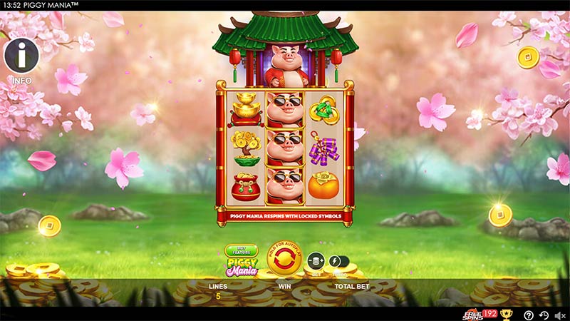 Piggy Mania
