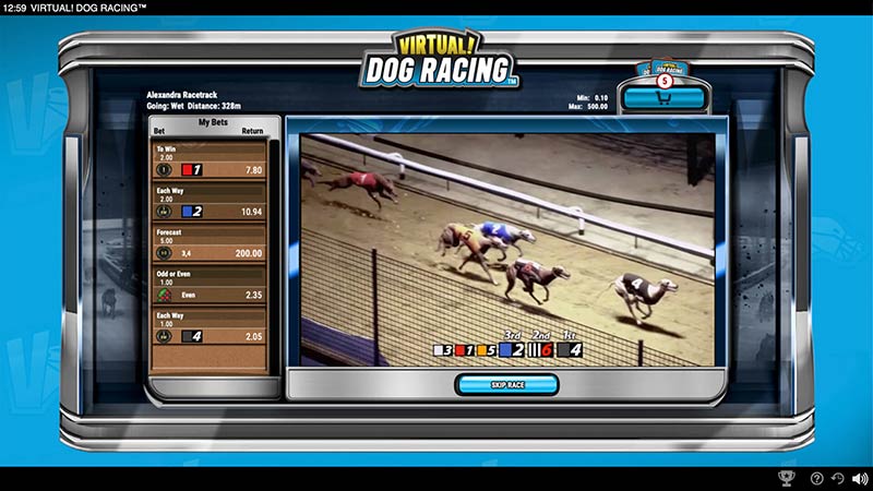 Virtual Dog Racing