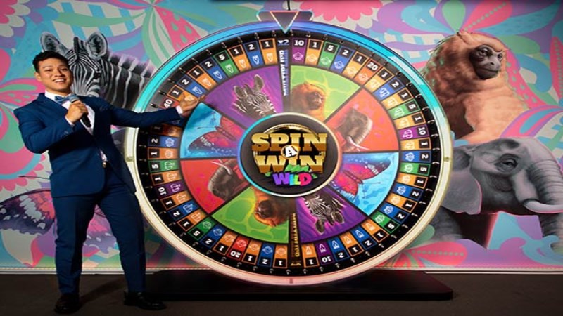 Spin a Win Wild
