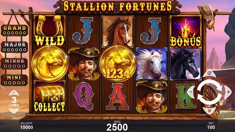 Stallion Fortunes