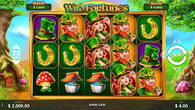Wild Fortunes