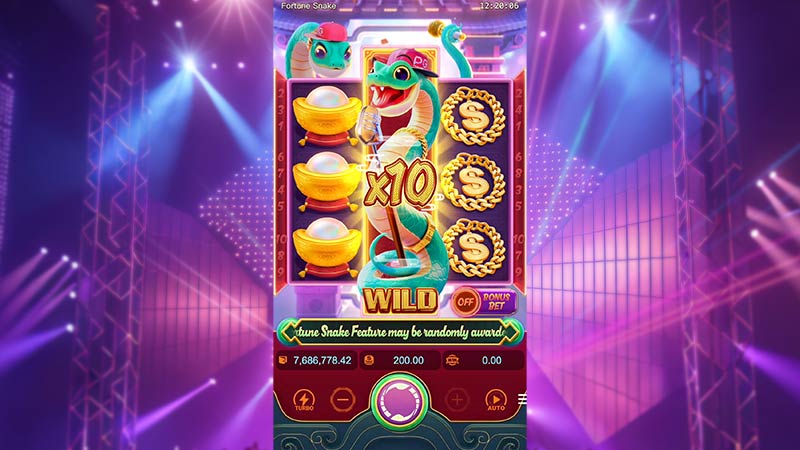 Fortune Snake