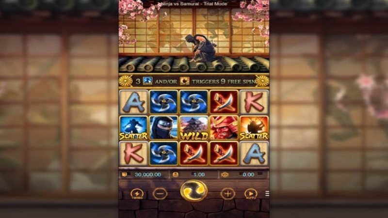 Ninja vs Samurai