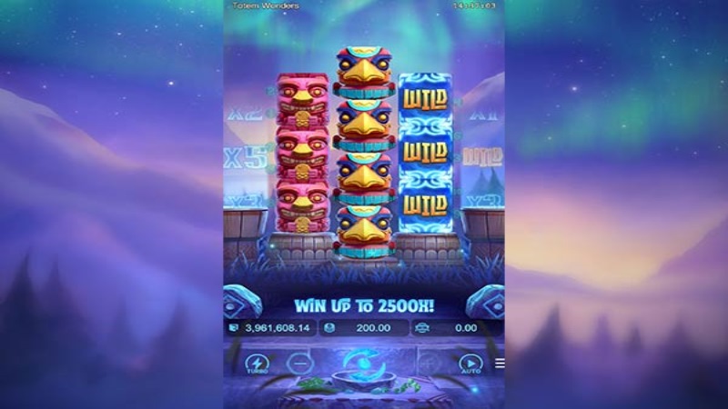 Totem Wonders