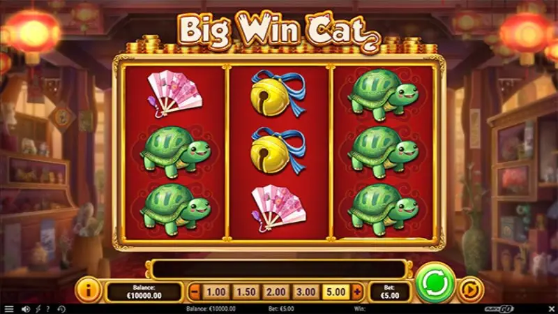 Big Win Cat